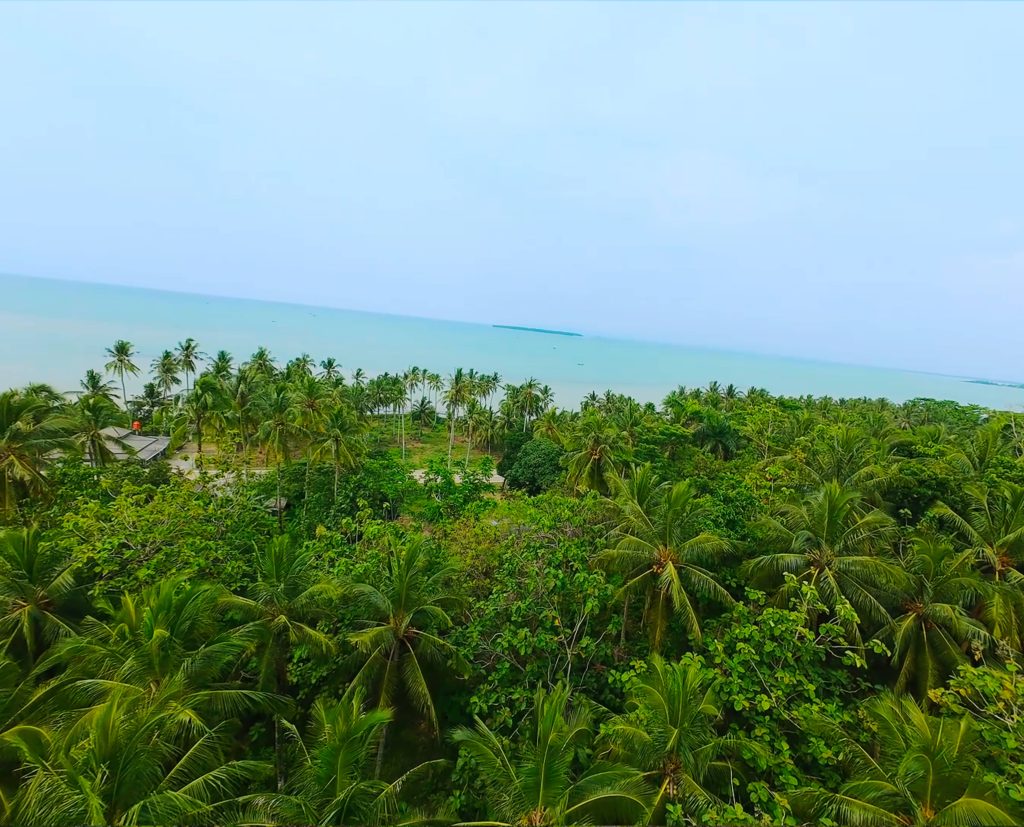 IMG_20251018_150209 (1)